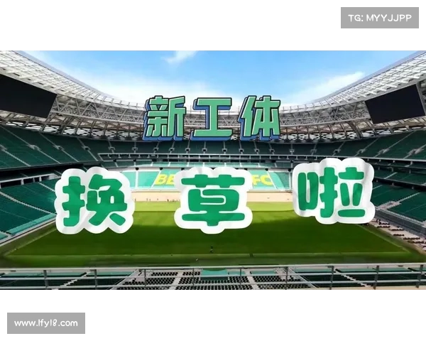 工体新草坪获国安将帅高度评价 助力球队发挥特色优势 工体新草坪获国安将帅高度评价 助力球队发挥特色优势